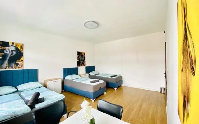 Spacious 4BR for 15 & 15 Min to Danube