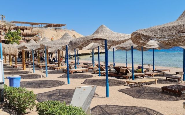 Sharks Bay Hotel & Padi Butterfly