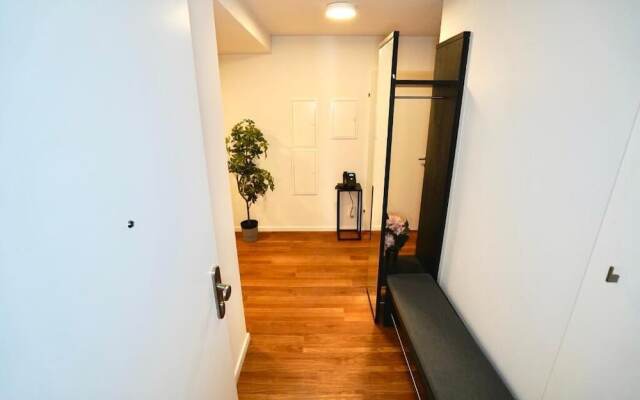 DM & S Apartment