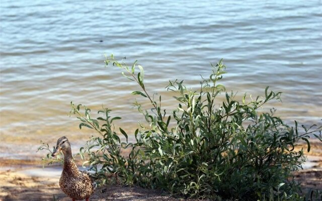 A Sleepy Bear's Hideaway