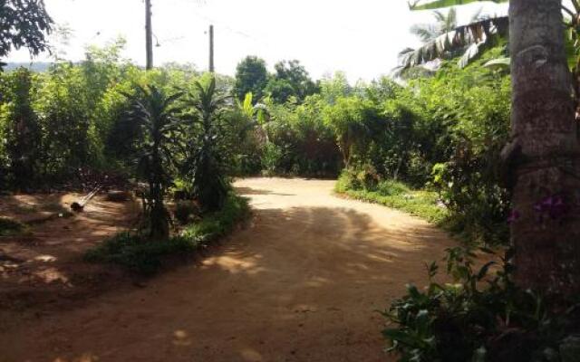 Pinnawala home stay