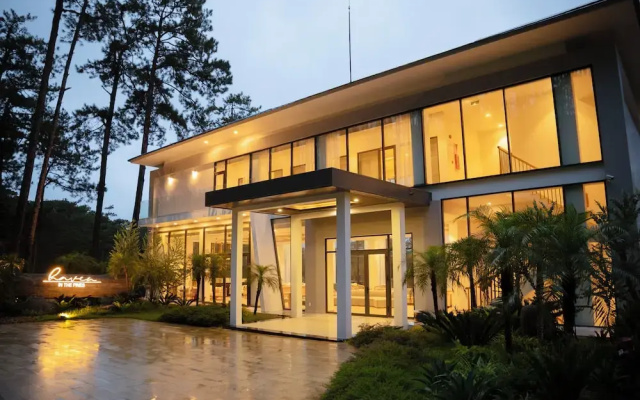 Haven in the Pines