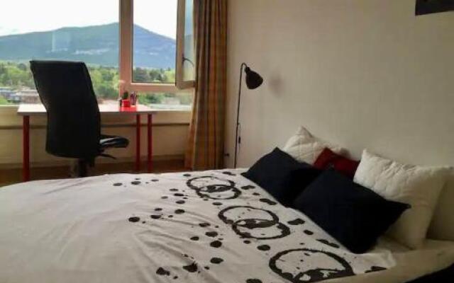 Central Furnished 2BR Rental in Geneva