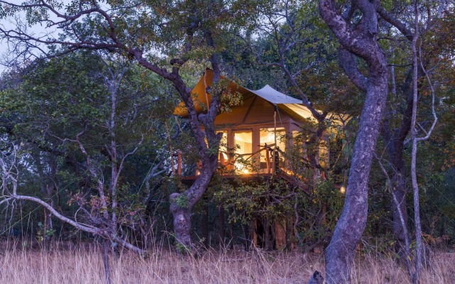 Mukambi Fig Tree Bush Camp – All Inclusive