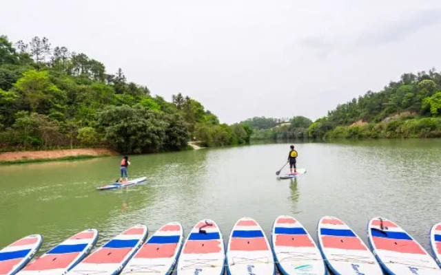 Yanying Lake Forest Valley homestay