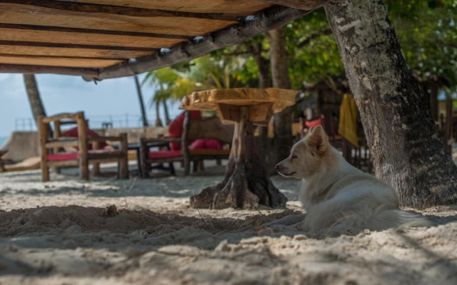 Bidi Badu Zanzibar Village - Hostel