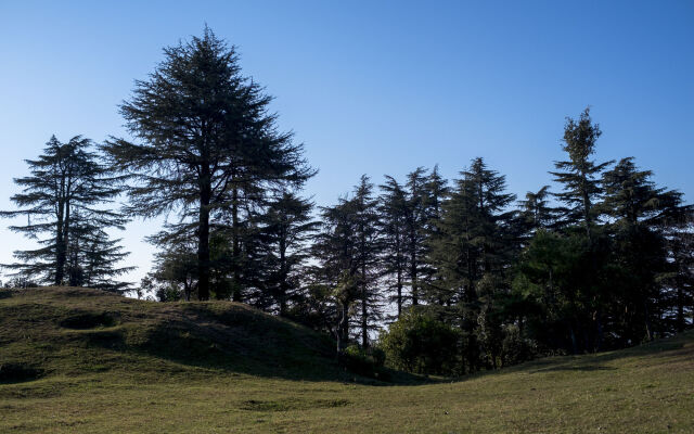 Mosaic Mussoorie