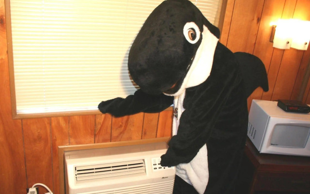 The Orca Inn