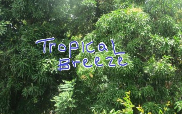 Tropical Breeze Guest House