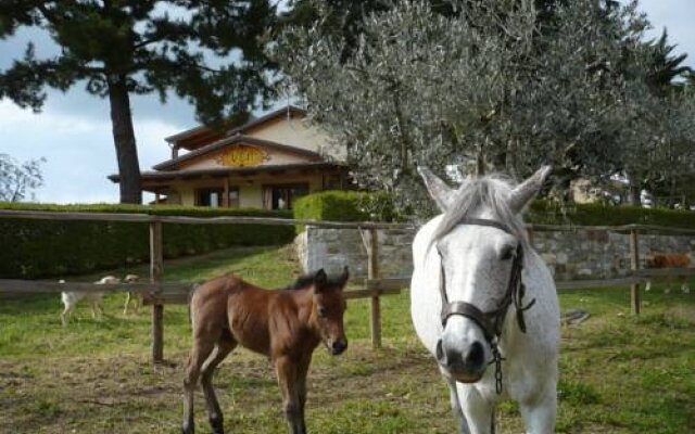 Agriturismo Villa Vea