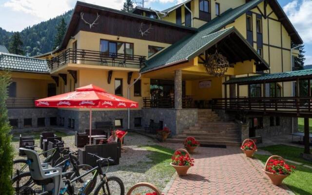 Hotel Casa Viorel