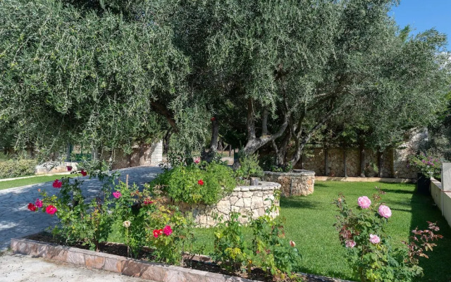 Vista Verde Studios