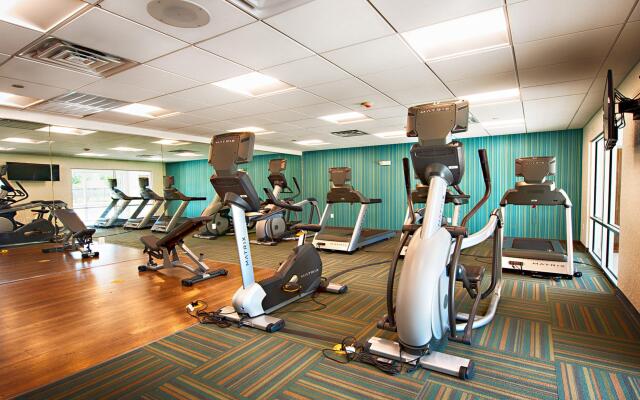 Holiday Inn Express & Suites Houston SW - Galleria Area by IHG