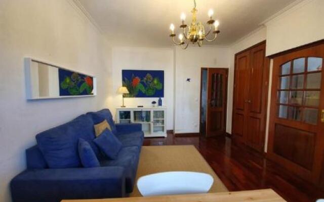 Apartment Afonso Henriques