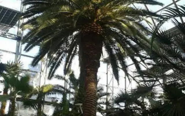 Wohlfühlhotel Sonnengarten