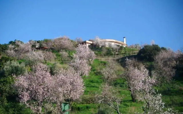 Villa Colina Tropical