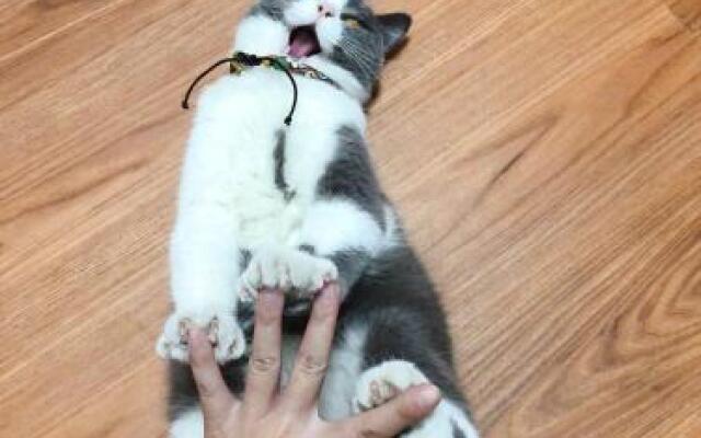 Miaoji Seaview Guesthouse