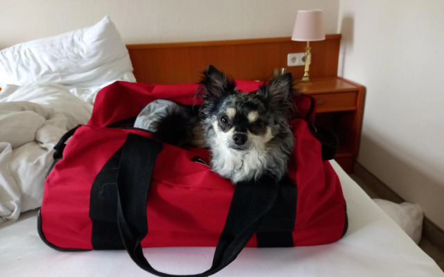 GIRBL bio APARTMENTS ungeimpft only - 3Mäderl Haus