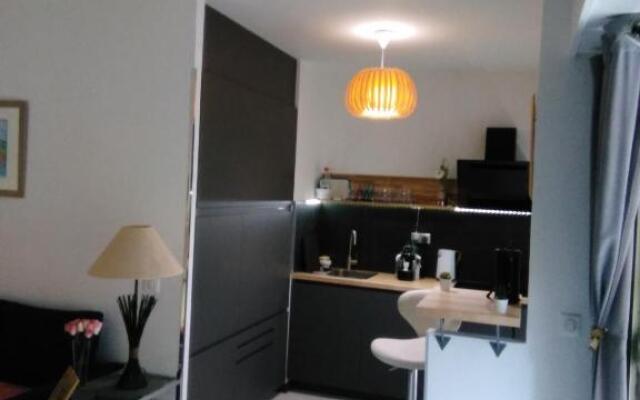 NICE- GAIRAUT - JARDIN PRIVE- GRAND F1 LUMINEUX-Piscine Collective