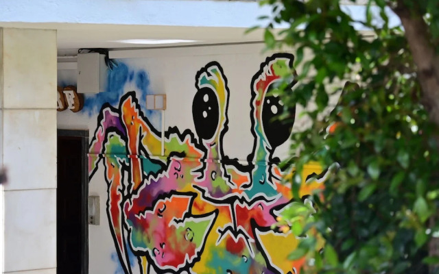Lisbon Soul Surf Camp