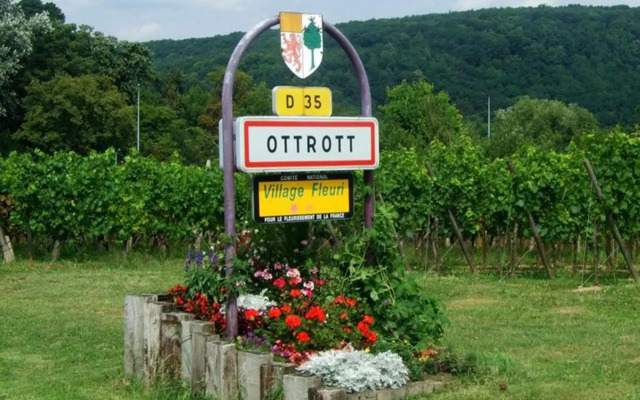 Studio Gite Fischer Ottrott