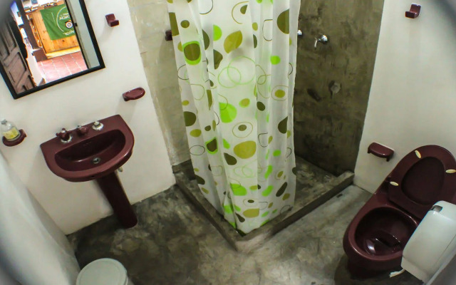 Kingbird Hostel