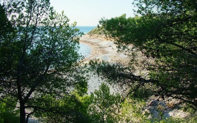 Villa 11 De Setembre 9