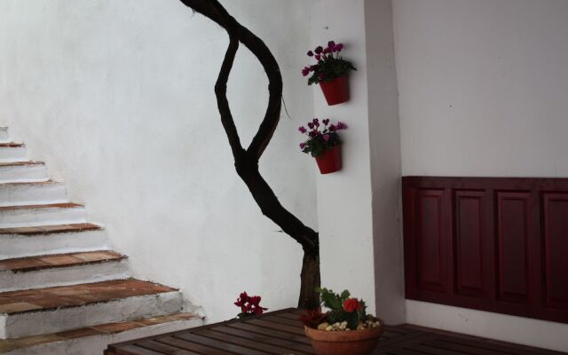 La casa del arbol