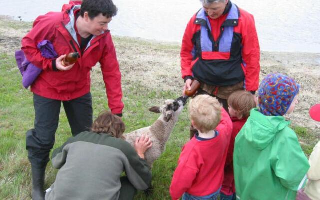 Fairmount Bed & Breakfast