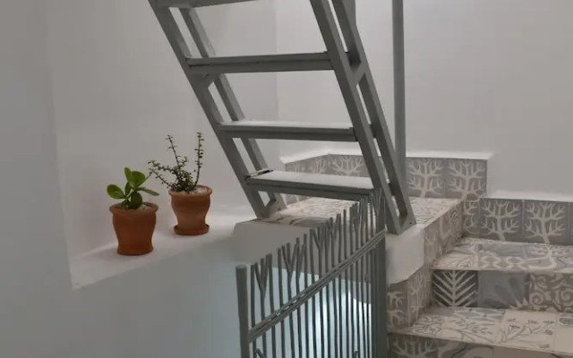 Riad Zarka