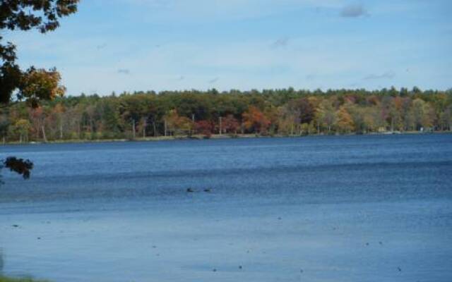 Lake Cadillac Resort