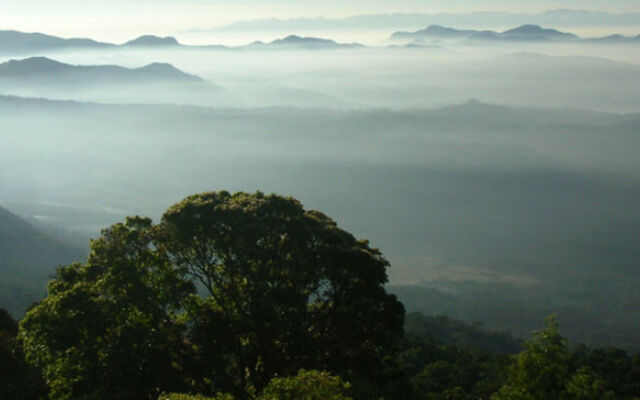 The Club Munnar