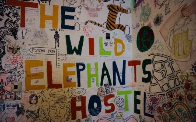 Wild Elephants Hostel