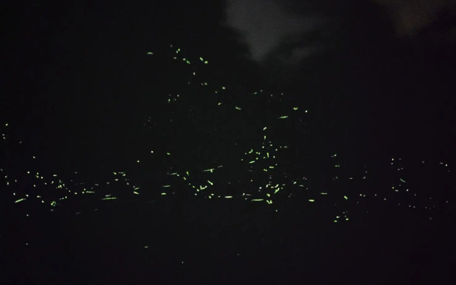 Sitou ARCADIA Homestay