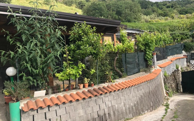 Serenity ‘s House