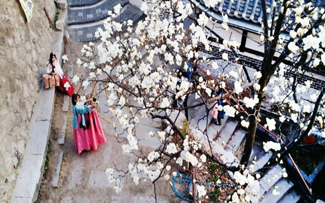 Samcheongdong Korea Guest House