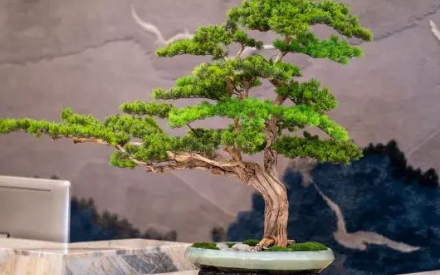 Dingxi Longwan Peninsula International Hotel