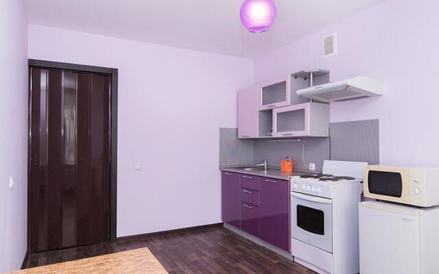 Apartment On Smazchikov 3