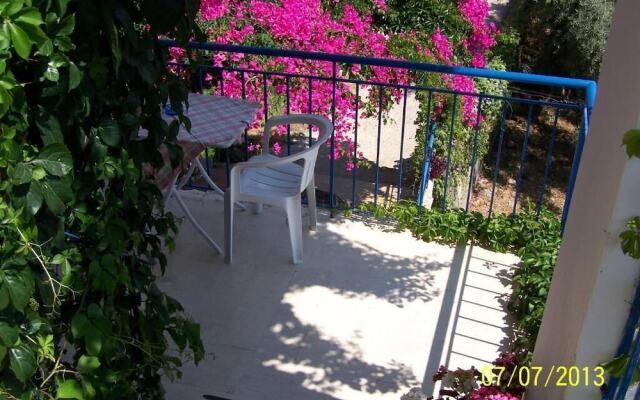 Gianna Studios