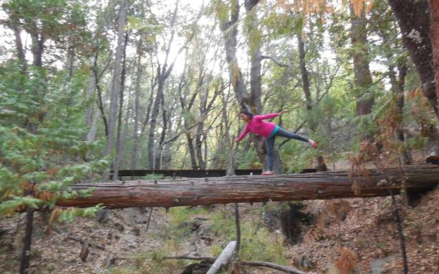 Yosemite Paradise Inn