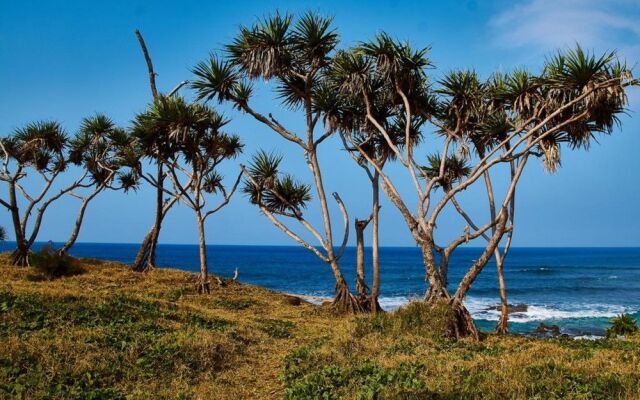 Tanna Horizon Bungalows & Tours