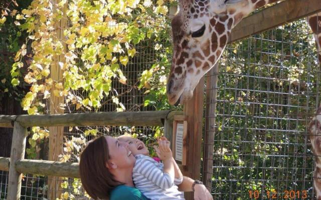 Candlewood Suites Grove City - Outlet Center by IHG