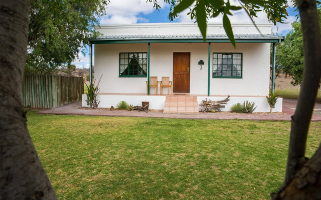 Olive Grove Guest Farm