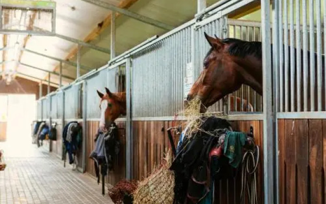Pack Horse Hotel