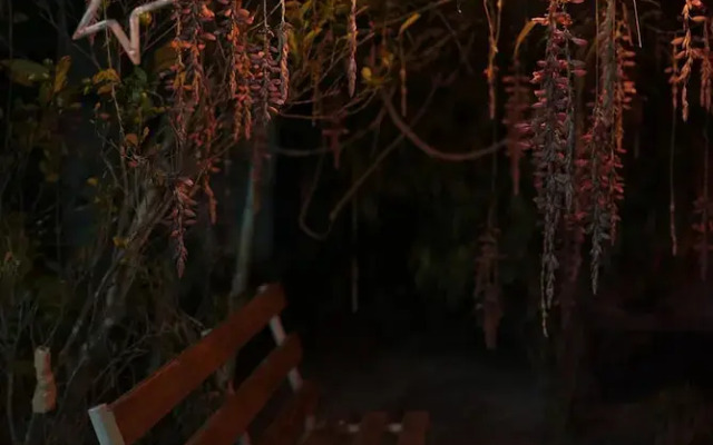 Wind Valley Farmstay