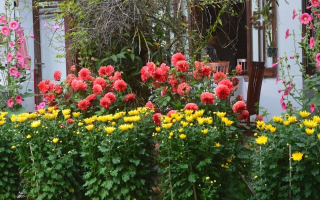 The Orchid Garden Villas, Hoi An