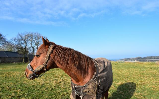 Welcoming holiday home in Etretat with private garden
