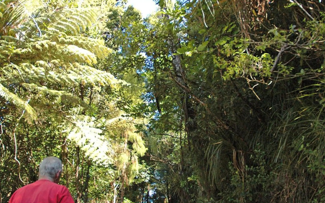 Waitakere Resort & Spa