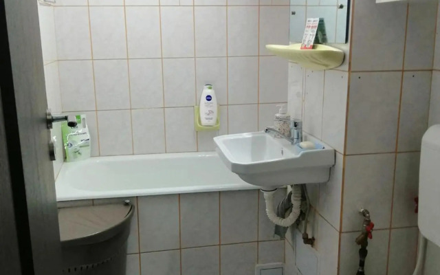 Apartment Valea Azugii