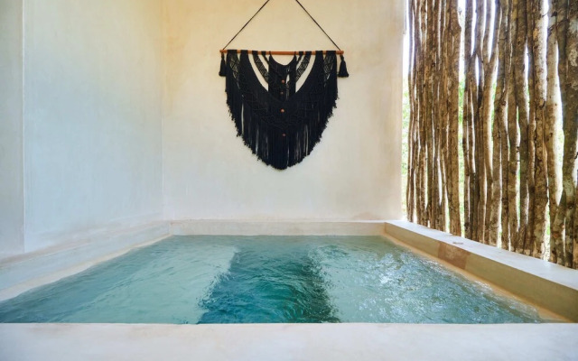 Cobá 1-D08 By Lockey